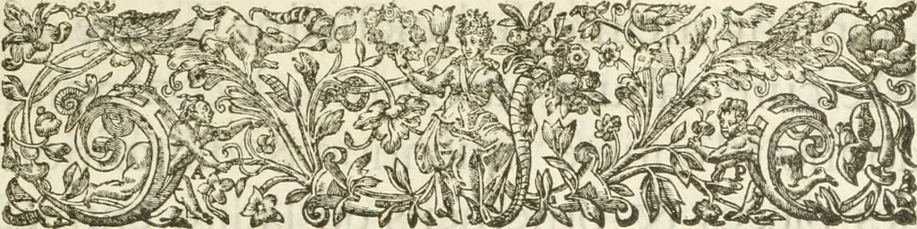 An illustration from Reception de tres-chrestien, tres-iuste, et tres-victorieux monarque Louis XIII. roy de France & de Nauarre ... : et de tres-chrestienne, tres-auguste, & tres-vertueuse royne Anne d'Austriche, par Messieurs les doyen, chanoines, & comtes de Lyon en leur cloistre & eglise, le XI. decembre, M. DC.XXII, 1623, leaf 22