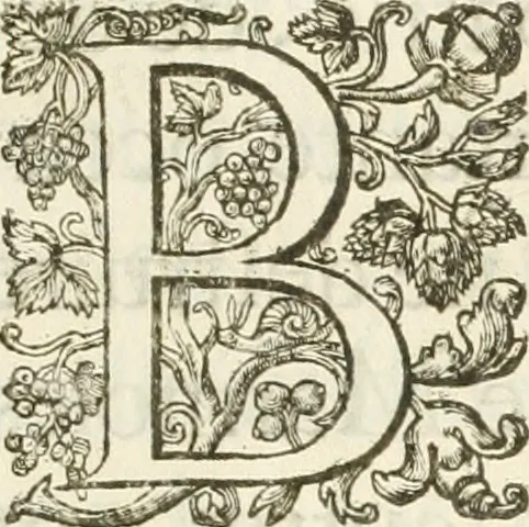 An illustration from Reception de tres-chrestien, tres-iuste, et tres-victorieux monarque Louis XIII. roy de France & de Nauarre ... : et de tres-chrestienne, tres-auguste, & tres-vertueuse royne Anne d'Austriche, par Messieurs les doyen, chanoines, & comtes de Lyon en leur cloistre & eglise, le XI. decembre, M. DC.XXII, 1623, leaf 22
