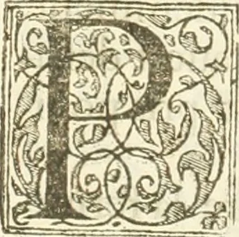 An illustration from Reception de tres-chrestien, tres-iuste, et tres-victorieux monarque Louis XIII. roy de France & de Nauarre ... : et de tres-chrestienne, tres-auguste, & tres-vertueuse royne Anne d'Austriche, par Messieurs les doyen, chanoines, & comtes de Lyon en leur cloistre & eglise, le XI. decembre, M. DC.XXII, 1623, leaf 31