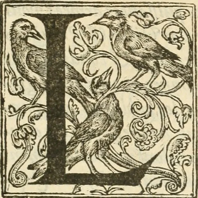 An illustration from Reception de tres-chrestien, tres-iuste, et tres-victorieux monarque Louis XIII. roy de France & de Nauarre ... : et de tres-chrestienne, tres-auguste, & tres-vertueuse royne Anne d'Austriche, par Messieurs les doyen, chanoines, & comtes de Lyon en leur cloistre & eglise, le XI. decembre, M. DC.XXII, 1623, leaf 36