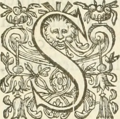 An illustration from Reception de tres-chrestien, tres-iuste, et tres-victorieux monarque Louis XIII. roy de France & de Nauarre ... : et de tres-chrestienne, tres-auguste, & tres-vertueuse royne Anne d'Austriche, par Messieurs les doyen, chanoines, & comtes de Lyon en leur cloistre & eglise, le XI. decembre, M. DC.XXII, 1623, leaf 64