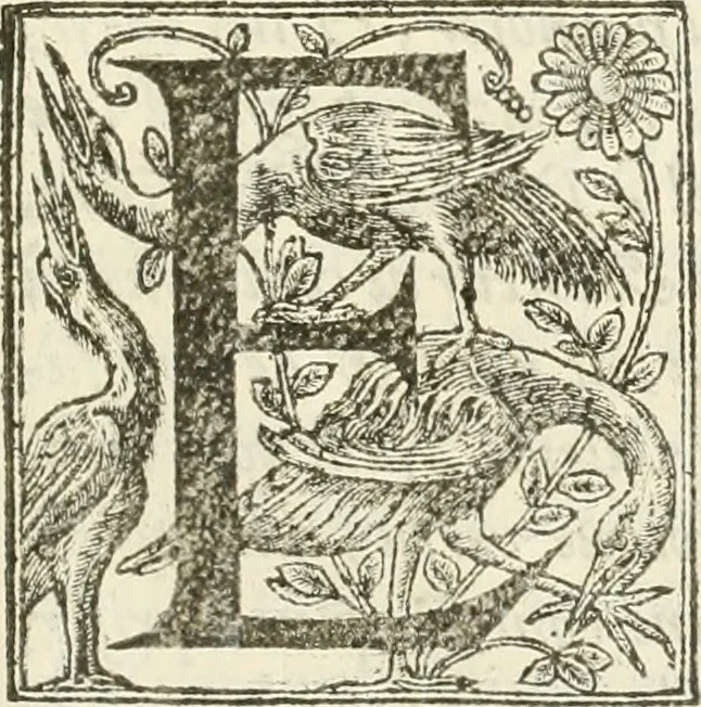 An illustration from Reception de tres-chrestien, tres-iuste, et tres-victorieux monarque Louis XIII. roy de France & de Nauarre ... : et de tres-chrestienne, tres-auguste, & tres-vertueuse royne Anne d'Austriche, par Messieurs les doyen, chanoines, & comtes de Lyon en leur cloistre & eglise, le XI. decembre, M. DC.XXII, 1623, leaf 8