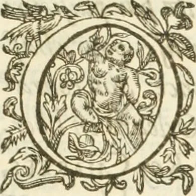 An illustration from Reception de tres-chrestien, tres-iuste, et tres-victorieux monarque Louis XIII. roy de France & de Nauarre ... : et de tres-chrestienne, tres-auguste, & tres-vertueuse royne Anne d'Austriche, par Messieurs les doyen, chanoines, & comtes de Lyon en leur cloistre & eglise, le XI. decembre, M. DC.XXII, 1623, leaf 80