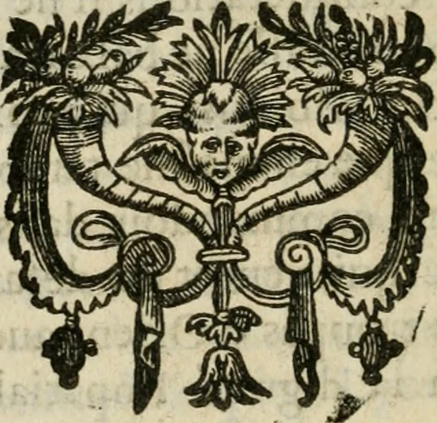 An illustration from Recherche des antiqvités et cvriosités de la ville de Lyon : ancienne colonie des romains & capitale de la Gaule celtique : avec un mémoire des principaux antiquaires & curieux de l'Europe, 1673, leaf 35