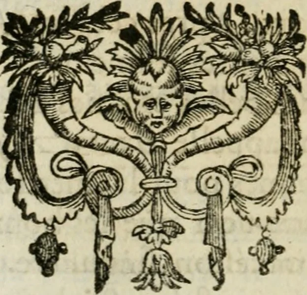 An illustration from Recherche des antiqvités et cvriosités de la ville de Lyon : ancienne colonie des romains & capitale de la Gaule celtique : avec un mémoire des principaux antiquaires & curieux de l'Europe, 1673, leaf 49