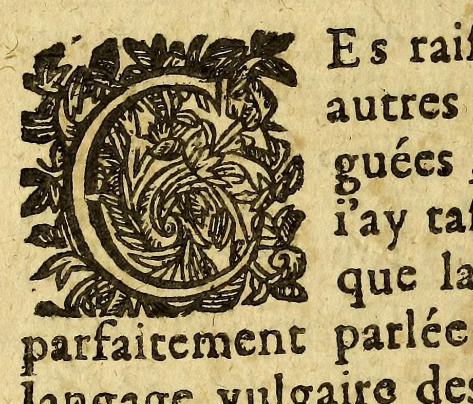 An illustration from Recherches curieuses sur la diuersité des langues et religions, par toutes les principales parties du monde., 1640, leaf 88