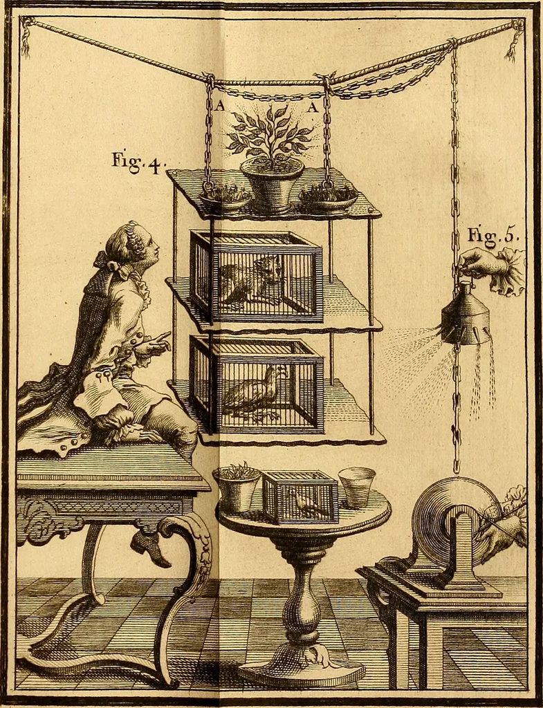 An illustration from Recherches sur les causes particulieres des phénoménes électriques : et sur les effets nuisibles ou avantageux qu'on peut en attendre, 1749, leaf 458