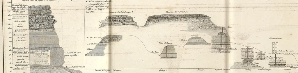An illustration from Recherches sur les ossemens fossiles de quadrupèdes : où l'on rétablit les caractères de plusieurs espèces d'animaux que les révolutions du globe paroissent avoir détruites, 1812, leaf 451