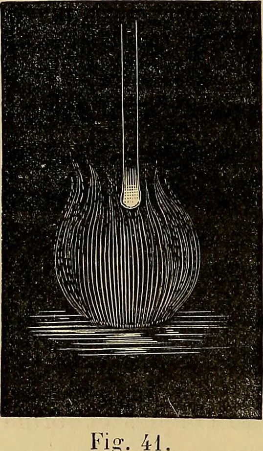 An illustration from Recherches sur l'électricité, 1883, leaf 161