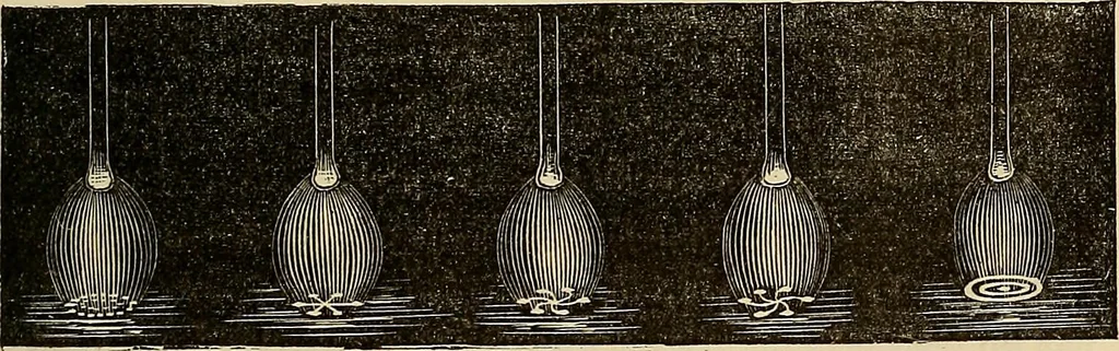 An illustration from Recherches sur l'électricité, 1883, leaf 162