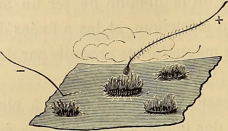 An illustration from Recherches sur l'électricité, 1883, leaf 189