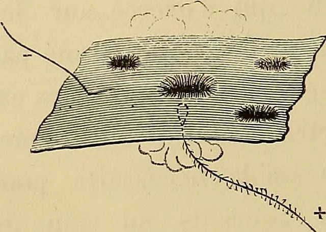 An illustration from Recherches sur l'électricité, 1883, leaf 189