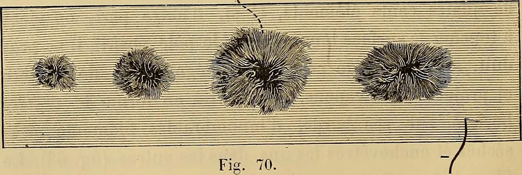 An illustration from Recherches sur l'électricité, 1883, leaf 189
