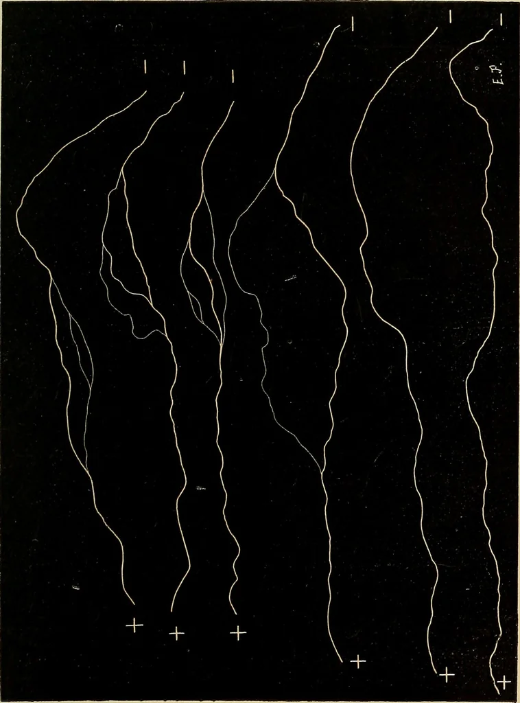 An illustration from Recherches sur l'électricité, 1883, leaf 284