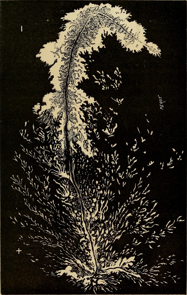 An illustration from Recherches sur l'électricité, 1883, leaf 286