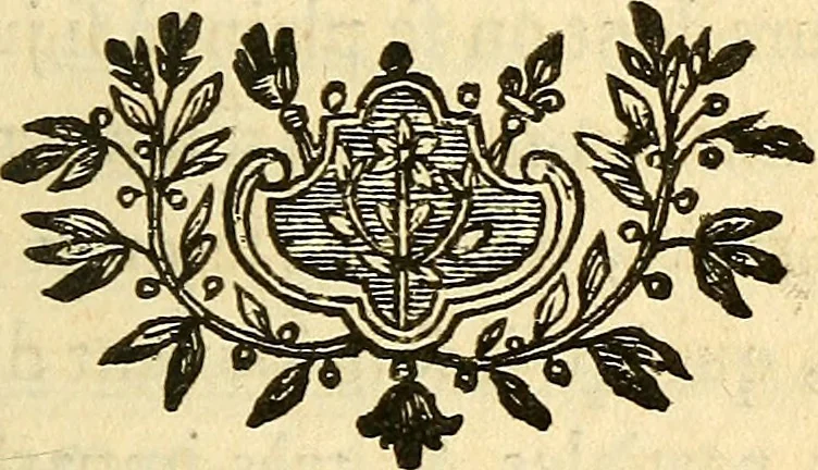 An illustration from Recherches sur l'origine des idées que nous avons de la beauté & de la vertu : en deux traités : le premier, sur la beauté, l'ordre, l'harmonie & le dessein; le second, sur le bien & mal physique & moral, 1749, leaf 506