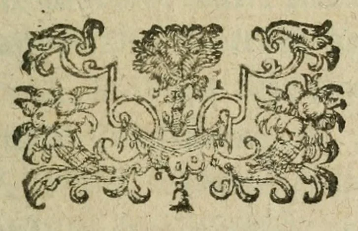 An illustration from Recit veritable de ce qvi s'est passé en la deffaicte des ennemis rebelles au Roy, venans au secours de Montauban. La quantité des morts & blessés, les noms & qualitez des capitaines tuez & prisonniers. Auec le nombre des enseignes & drapeaux gaignés & enouyés par le Roy à la Royne, 1621, leaf 11