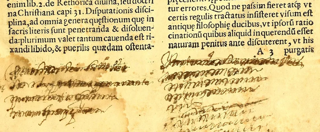 An illustration from Recognitio, summularum reuerendi Patris Illdephonsi a Vera Cruce Augustiniani ., 1554, leaf 11
