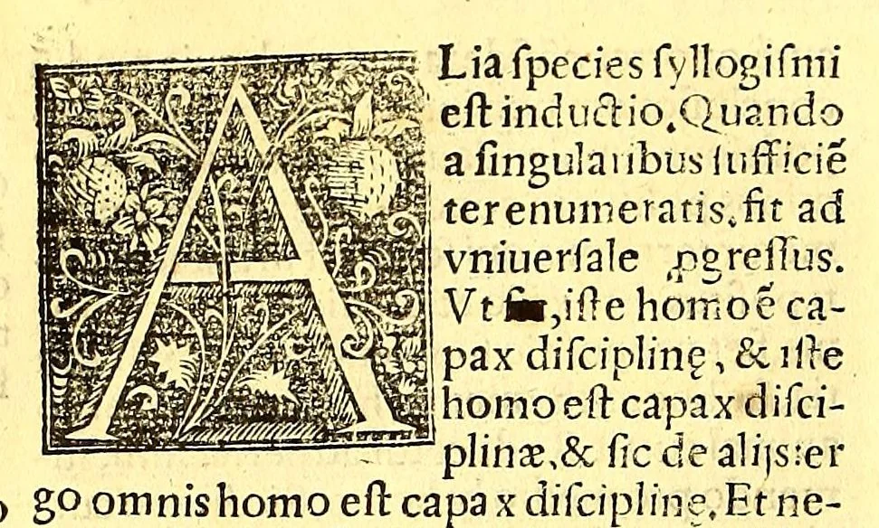 An illustration from Recognitio, summularum reuerendi Patris Illdephonsi a Vera Cruce Augustiniani ., 1554, leaf 134