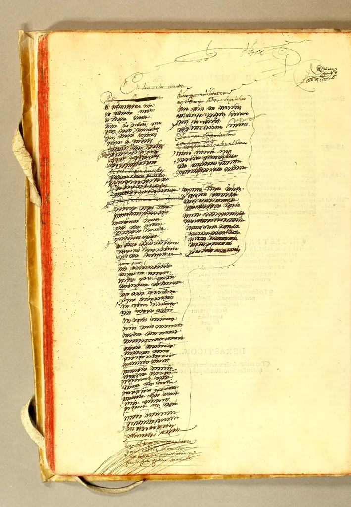 An illustration from Recognitio, summularum reuerendi Patris Illdephonsi a Vera Cruce Augustiniani ., 1554, leaf 136
