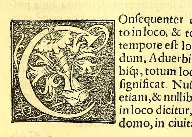 An illustration from Recognitio, summularum reuerendi Patris Illdephonsi a Vera Cruce Augustiniani ., 1554, leaf 147