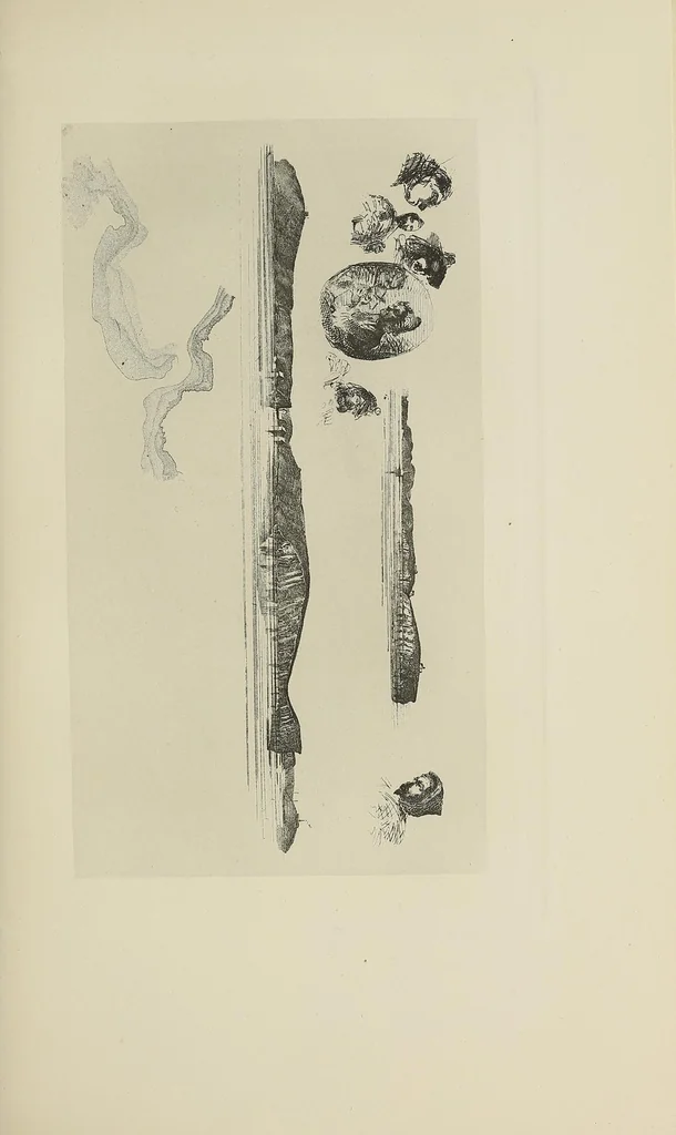 An illustration from Recollections and impressions of James A. McNeill Whistler, 1904, leaf 111