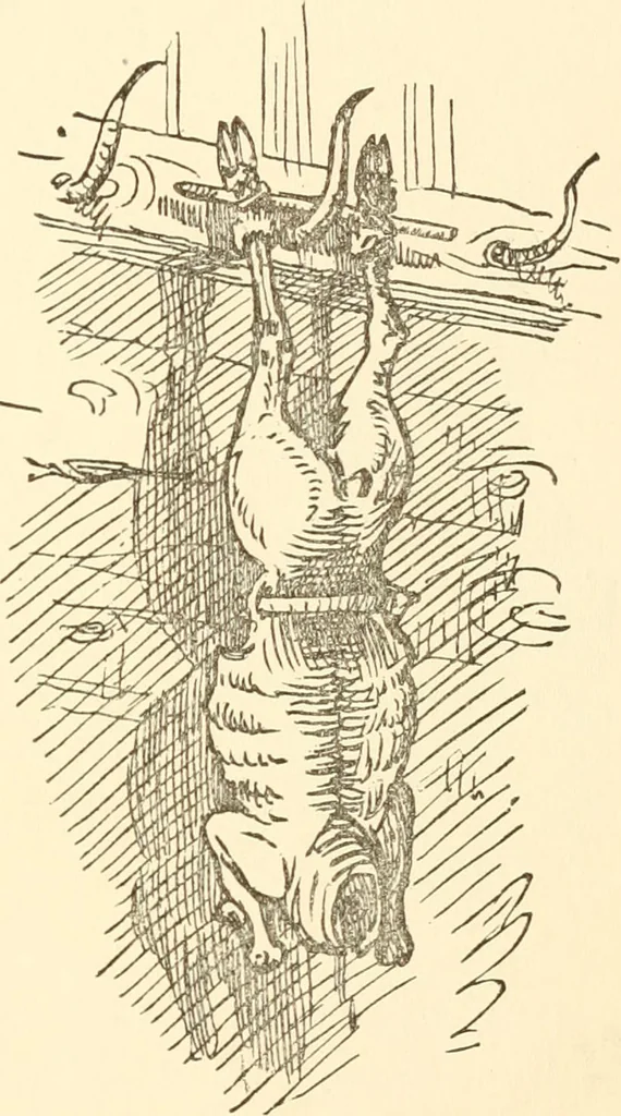 An illustration from Recollections of Auton House, 1909, leaf 64