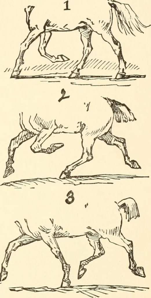 An illustration from Recollections of Auton House, 1909, leaf 66