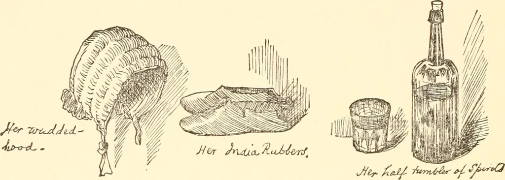 An illustration from Recollections of Auton House, 1909, leaf 89