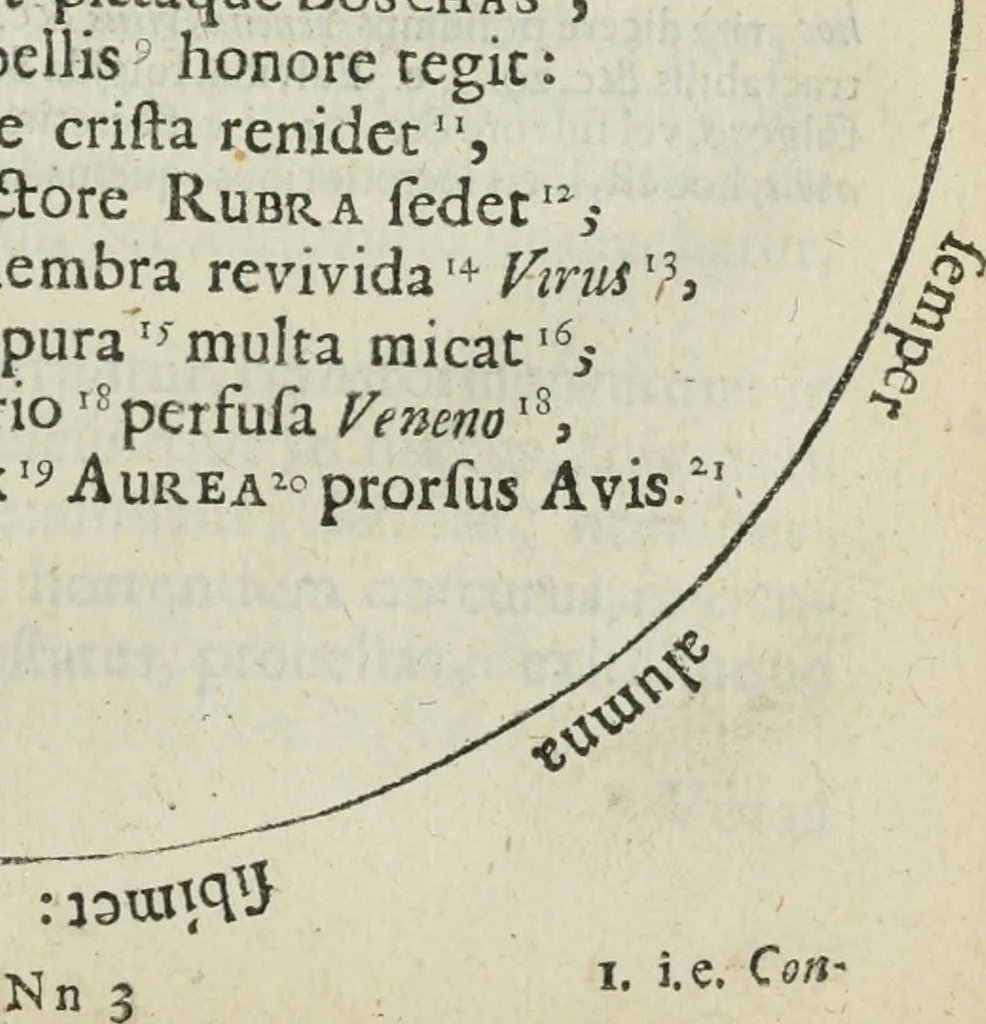 An illustration from Reconditorium ac reclusorium opulentiae sapientiaeque numinis mundi magni, cui deditur in titulum Chymica vannus .., 1666, leaf 288