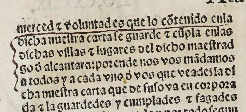 An illustration from Recopilacio[n] de algunas bullas del summo pontifice, co[n]cedidas, en fauor de la jurisdicio[n] real, con todas las pragmaticas, y algunas leyes del reyno, hechas para la buena gouernacion y guarda de la justicia y muchas pragmaticas y leyes añadidas q[ue] hasta aqui no fueron impressas. : En especial estan añadidas las leyes de Madrid y de los ara[n]zeles y de los paños y lanas y capitulos de corregidores y leyes de toro y leyes de la hermandad, vista y corregida y por orden de leyes puesta., 1550, leaf 294