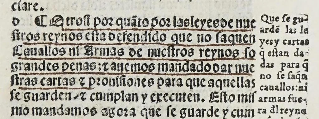 An illustration from Recopilacio[n] de algunas bullas del summo pontifice, co[n]cedidas, en fauor de la jurisdicio[n] real, con todas las pragmaticas, y algunas leyes del reyno, hechas para la buena gouernacion y guarda de la justicia y muchas pragmaticas y leyes añadidas q[ue] hasta aqui no fueron impressas. : En especial estan añadidas las leyes de Madrid y de los ara[n]zeles y de los paños y lanas y capitulos de corregidores y leyes de toro y leyes de la hermandad, vista y corregida y por orden de leyes puesta., 1550, leaf 307