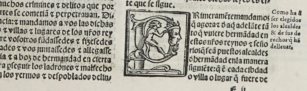 An illustration from Recopilacio[n] de algunas bullas del summo pontifice, co[n]cedidas, en fauor de la jurisdicio[n] real, con todas las pragmaticas, y algunas leyes del reyno, hechas para la buena gouernacion y guarda de la justicia y muchas pragmaticas y leyes añadidas q[ue] hasta aqui no fueron impressas. : En especial estan añadidas las leyes de Madrid y de los ara[n]zeles y de los paños y lanas y capitulos de corregidores y leyes de toro y leyes de la hermandad, vista y corregida y por orden de leyes puesta., 1550, leaf 451