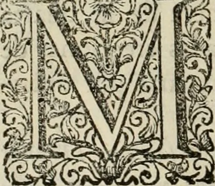 An illustration from Recopilacion de leyes de los reynos de las Indias : mandadas imprimir, y publicar por la magestad catolica del rey don Carlos II, nuestro señor : va dividida en quatro tomos, con el indice general, y al principio de cada tomo el indice especial de los titulos, que contiene, 1681, leaf 119
