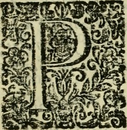 An illustration from Recopilacion de leyes de los reynos de las Indias : mandadas imprimir, y publicar por la magestad catolica del rey don Carlos II, nuestro señor : va dividida en quatro tomos, con el indice general, y al principio de cada tomo el indice especial de los titulos, que contiene, 1681, leaf 30