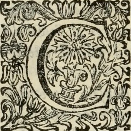 An illustration from Recopilacion de leyes de los reynos de las Indias : mandadas imprimir, y publicar por la magestad catolica del rey don Carlos II, nuestro señor : va dividida en quatro tomos, con el indice general, y al principio de cada tomo el indice especial de los titulos, que contiene, 1681, leaf 337