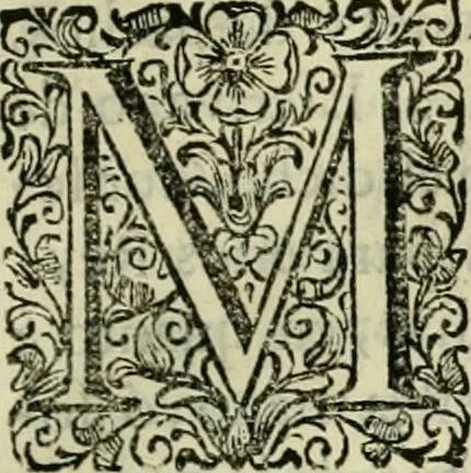 An illustration from Recopilacion de leyes de los reynos de las Indias : mandadas imprimir, y publicar por la magestad catolica del rey don Carlos II, nuestro señor : va dividida en quatro tomos, con el indice general, y al principio de cada tomo el indice especial de los titulos, que contiene, 1681, leaf 370