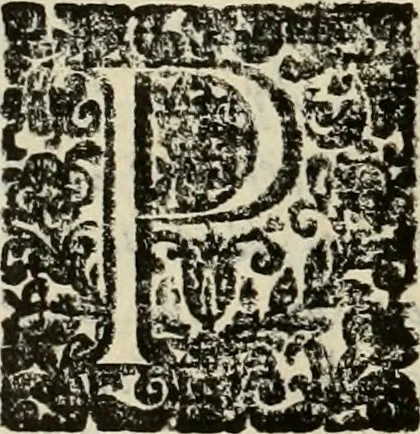 An illustration from Recopilacion de leyes de los reynos de las Indias : mandadas imprimir, y publicar por la magestad catolica del rey don Carlos II, nuestro señor : va dividida en quatro tomos, con el indice general, y al principio de cada tomo el indice especial de los titulos, que contiene, 1681, leaf 385