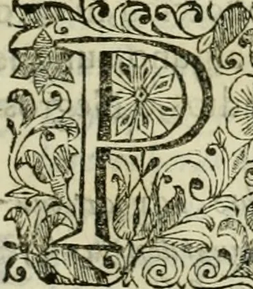 An illustration from Recopilacion de leyes de los reynos de las Indias : mandadas imprimir, y publicar por la magestad catolica del rey don Carlos II, nuestro señor : va dividida en quatro tomos, con el indice general, y al principio de cada tomo el indice especial de los titulos, que contiene, 1681, leaf 472