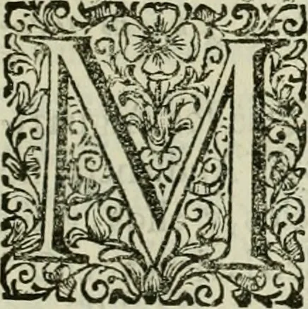 An illustration from Recopilacion de leyes de los reynos de las Indias : mandadas imprimir, y publicar por la magestad catolica del rey don Carlos II, nuestro señor : va dividida en quatro tomos, con el indice general, y al principio de cada tomo el indice especial de los titulos, que contiene, 1681, leaf 496