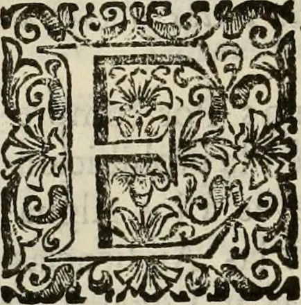 An illustration from Recopilacion de leyes de los reynos de las Indias : mandadas imprimir, y publicar por la magestad catolica del rey don Carlos II, nuestro señor : va dividida en quatro tomos, con el indice general, y al principio de cada tomo el indice especial de los titulos, que contiene, 1681, leaf 503