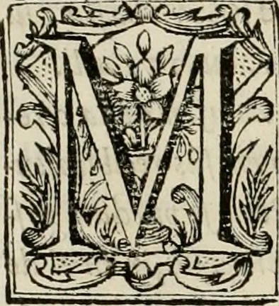 An illustration from Recopilacion de leyes de los reynos de las Indias : mandadas imprimir, y publicar por la magestad catolica del rey don Carlos II, nuestro señor : va dividida en quatro tomos, con el indice general, y al principio de cada tomo el indice especial de los titulos, que contiene, 1681, leaf 161