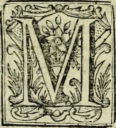An illustration from Recopilacion de leyes de los reynos de las Indias : mandadas imprimir, y publicar por la magestad catolica del rey don Carlos II, nuestro señor : va dividida en quatro tomos, con el indice general, y al principio de cada tomo el indice especial de los titulos, que contiene, 1681, leaf 202