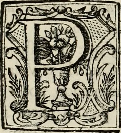 An illustration from Recopilacion de leyes de los reynos de las Indias : mandadas imprimir, y publicar por la magestad catolica del rey don Carlos II, nuestro señor : va dividida en quatro tomos, con el indice general, y al principio de cada tomo el indice especial de los titulos, que contiene, 1681, leaf 207