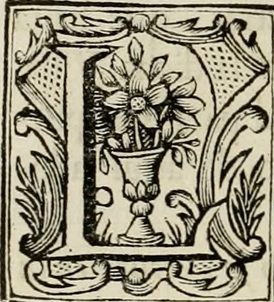 An illustration from Recopilacion de leyes de los reynos de las Indias : mandadas imprimir, y publicar por la magestad catolica del rey don Carlos II, nuestro señor : va dividida en quatro tomos, con el indice general, y al principio de cada tomo el indice especial de los titulos, que contiene, 1681, leaf 221