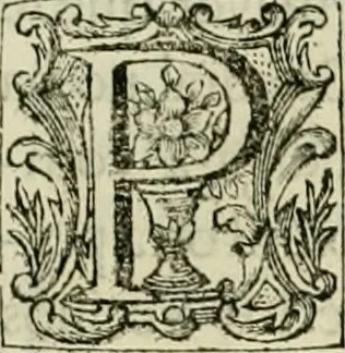 An illustration from Recopilacion de leyes de los reynos de las Indias : mandadas imprimir, y publicar por la magestad catolica del rey don Carlos II, nuestro señor : va dividida en quatro tomos, con el indice general, y al principio de cada tomo el indice especial de los titulos, que contiene, 1681, leaf 224