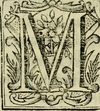 An illustration from Recopilacion de leyes de los reynos de las Indias : mandadas imprimir, y publicar por la magestad catolica del rey don Carlos II, nuestro señor : va dividida en quatro tomos, con el indice general, y al principio de cada tomo el indice especial de los titulos, que contiene, 1681, leaf 234