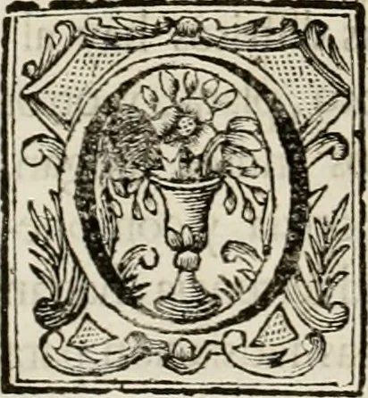 An illustration from Recopilacion de leyes de los reynos de las Indias : mandadas imprimir, y publicar por la magestad catolica del rey don Carlos II, nuestro señor : va dividida en quatro tomos, con el indice general, y al principio de cada tomo el indice especial de los titulos, que contiene, 1681, leaf 251