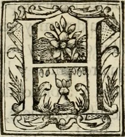 An illustration from Recopilacion de leyes de los reynos de las Indias : mandadas imprimir, y publicar por la magestad catolica del rey don Carlos II, nuestro señor : va dividida en quatro tomos, con el indice general, y al principio de cada tomo el indice especial de los titulos, que contiene, 1681, leaf 255