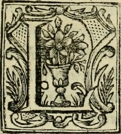 An illustration from Recopilacion de leyes de los reynos de las Indias : mandadas imprimir, y publicar por la magestad catolica del rey don Carlos II, nuestro señor : va dividida en quatro tomos, con el indice general, y al principio de cada tomo el indice especial de los titulos, que contiene, 1681, leaf 290